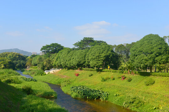 深圳笔架山公园福田河