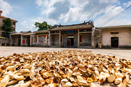 江门新会天马陈皮村