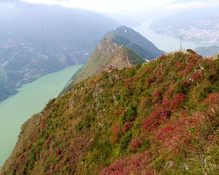 长江三峡巫峡红叶变红