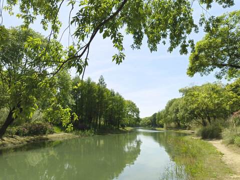 湿地森林河岸