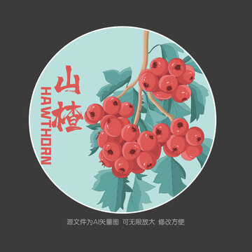 手繪山楂