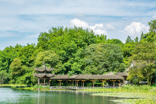 西湖浴鹄湾