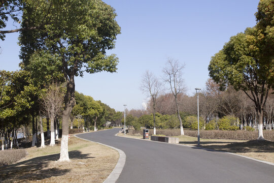 太仓江滩湿地公园