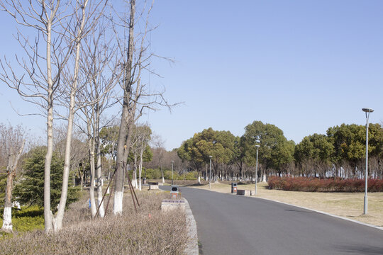 太仓江滩湿地公园