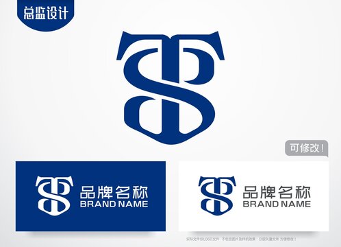 字母TS組合logo