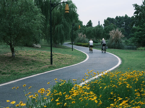 公园小路