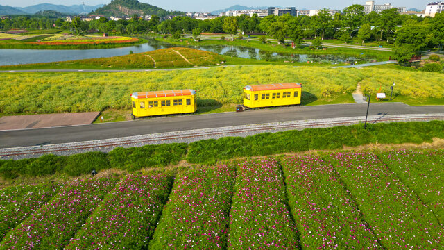 径山花海小火车