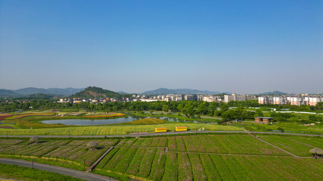 径山花海全景