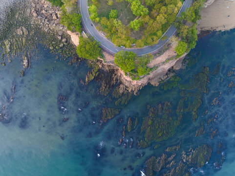 辽宁大连滨海路春季海滨风光