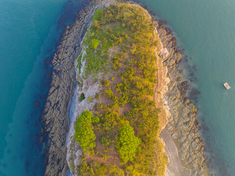 辽宁大连滨海路春季海滨风光