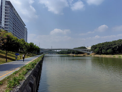 深圳光明洋涌河风光