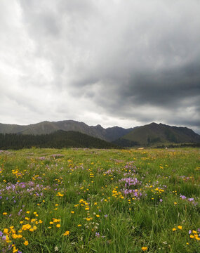 山雨欲来