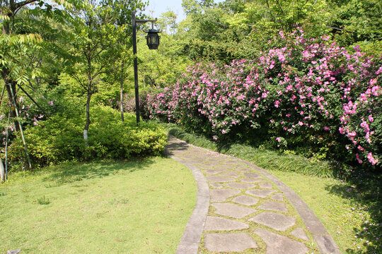 植物园小道