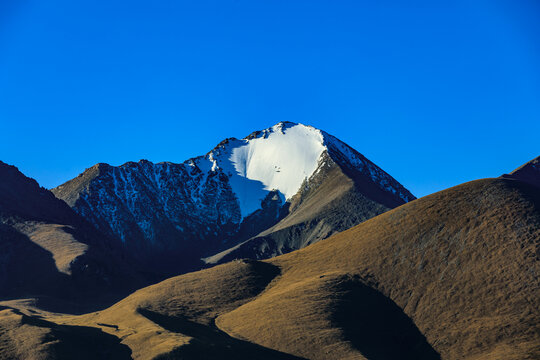 高山草原雪山