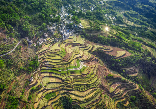 梯田村庄山地清晨