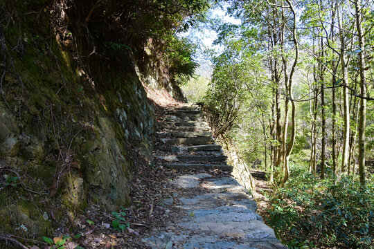 江西古道