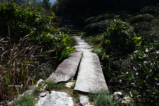 江西茶马古道