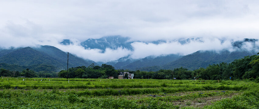 乡村春色