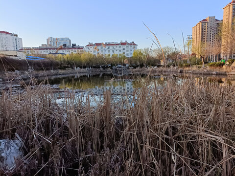 湖边景色