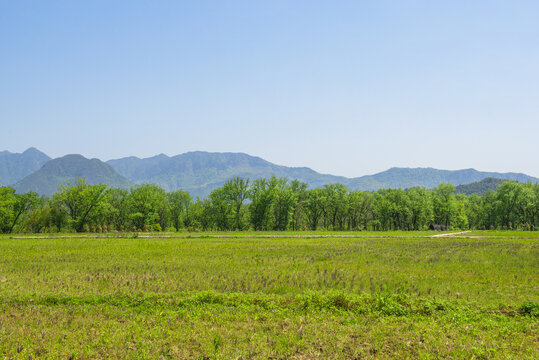 风景