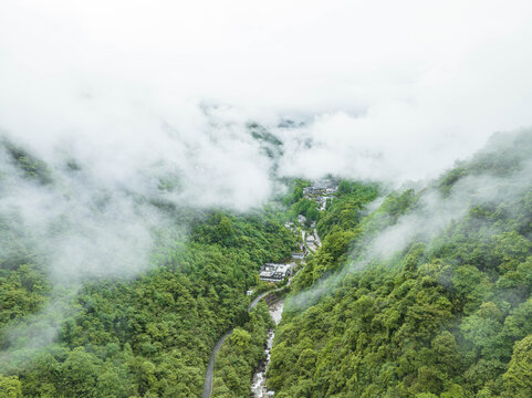 原始森林