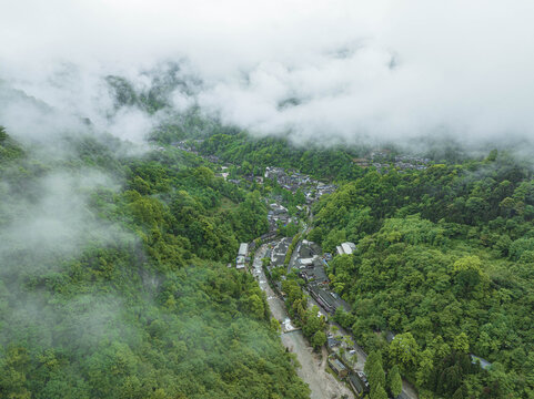 原始森林