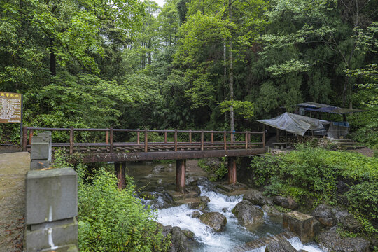 青城山森林步道