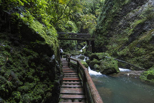 青城山森林步道