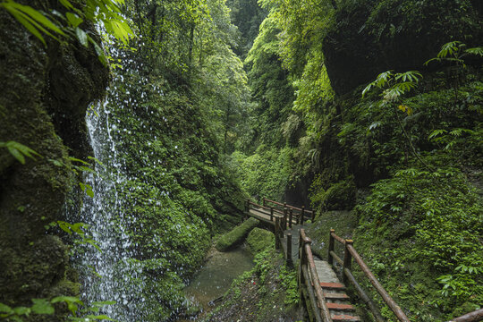 大自然森林溪水