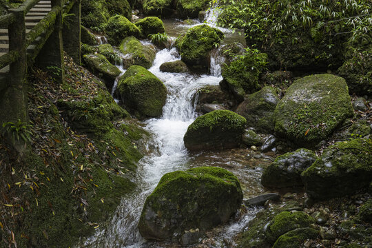 大自然森林溪水