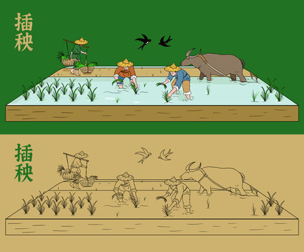 插秧插畫