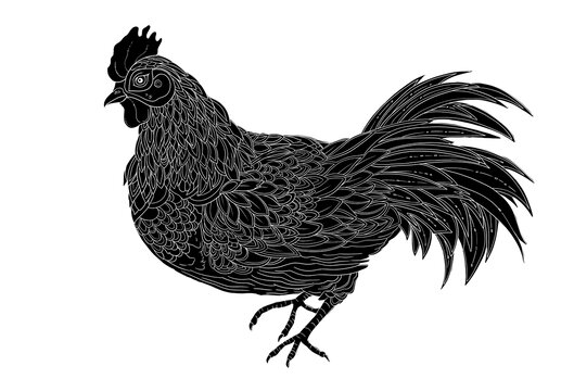 母鸡鸡蛋线稿包装黑白插画