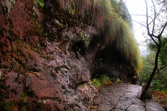 武夷山山路