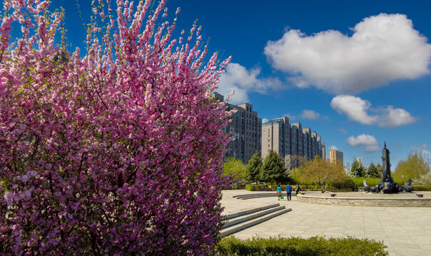 鲜花盛开的城市