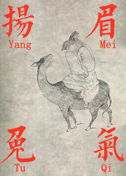 揚眉兔氣