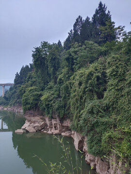 河流与绿植