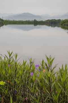 烟雨山水