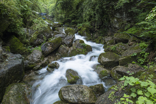 森林溪水