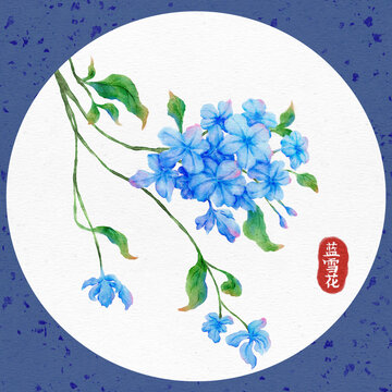 藍(lán)雪花