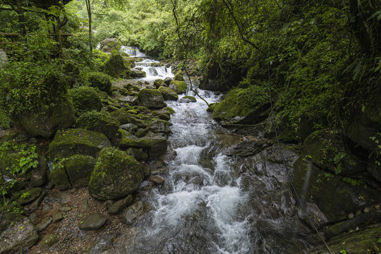 青城山森林