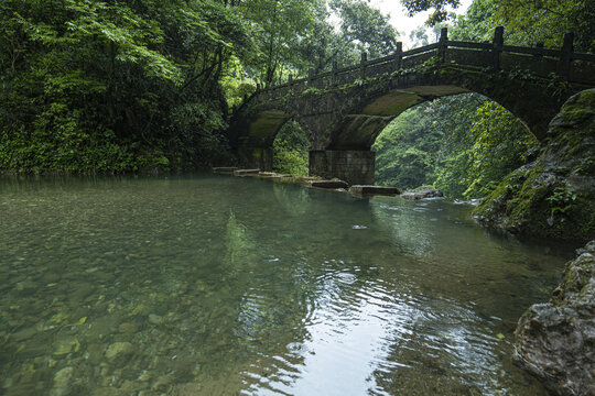 青城山森林