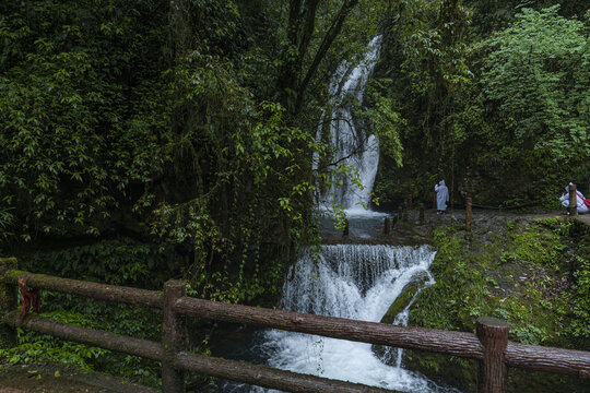 青城山森林