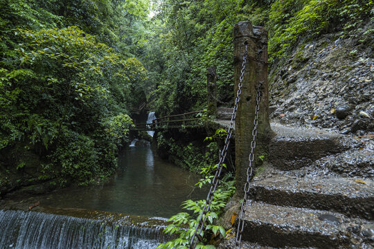 青城山森林