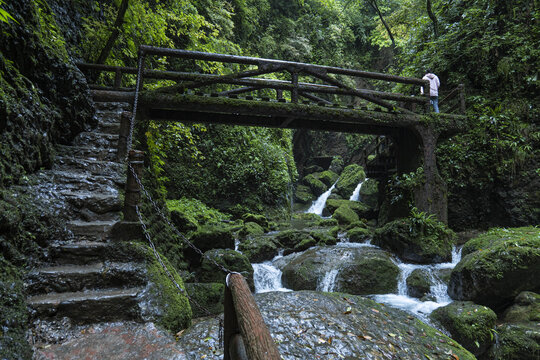 青城山森林