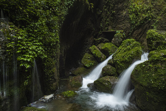 青城山森林