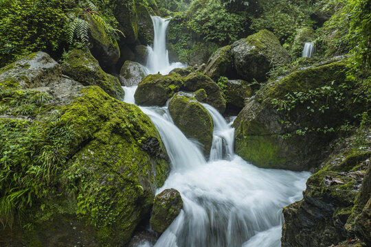 青城山森林