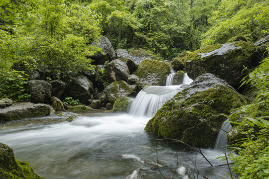 青城山森林