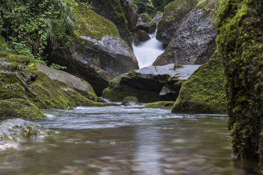 青城山森林