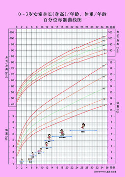 女童身长体重年龄标准曲线图