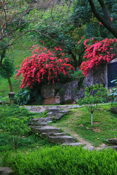 石板路